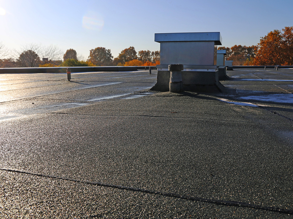 flat-roof-Basingstoke