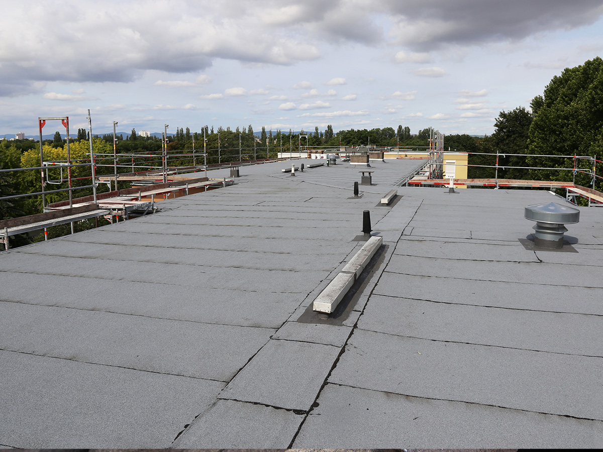 flat roof reading